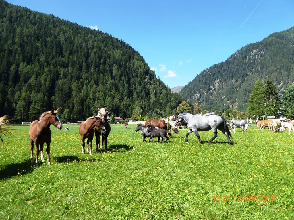 Gaestehaus Truskaller Hotel มัลล์นิทซ์ ภายนอก รูปภาพ